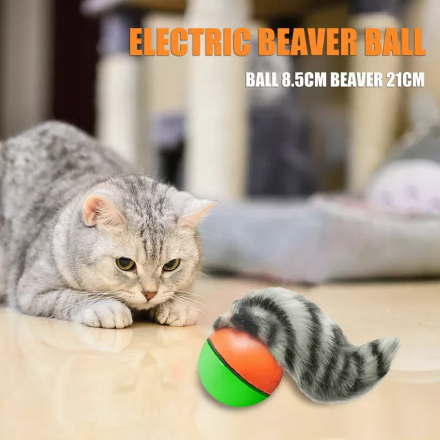 Qzo Haustier Hund Katze Spielzeug Elektrisch Beaver Wiesel Rollender Ball Jagd