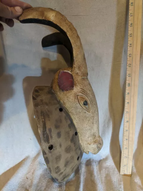 Lifelike Horned Animal Mask — Great Carved Detail — Authentic African Wood Art