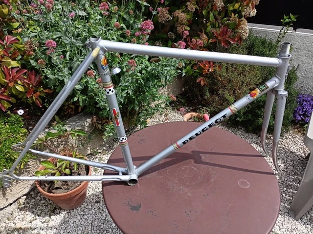 CADRE V LO PEUGEOT PR10. Taille 55 54. Poids 2.9kg. Reynolds 531