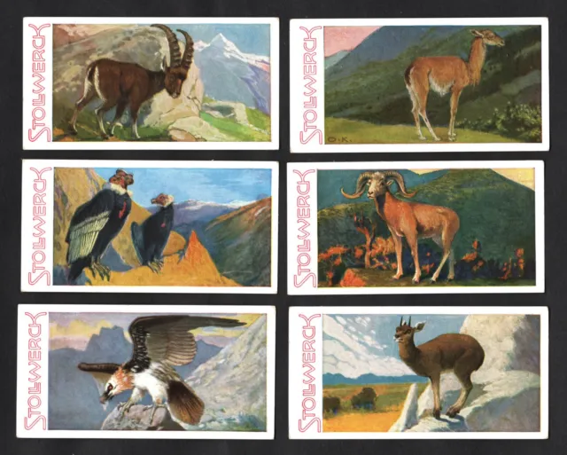 Stollwerck Animal Kingdom 1932 Album Ser 4 German Card Set Eagle Vulture Goat