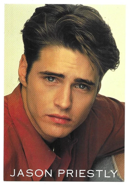 LOT 3 CARTES POSTALES BEVERLY HILLS 90210 LUKE PERRY JASON PRIESTLEY NON ECRITES