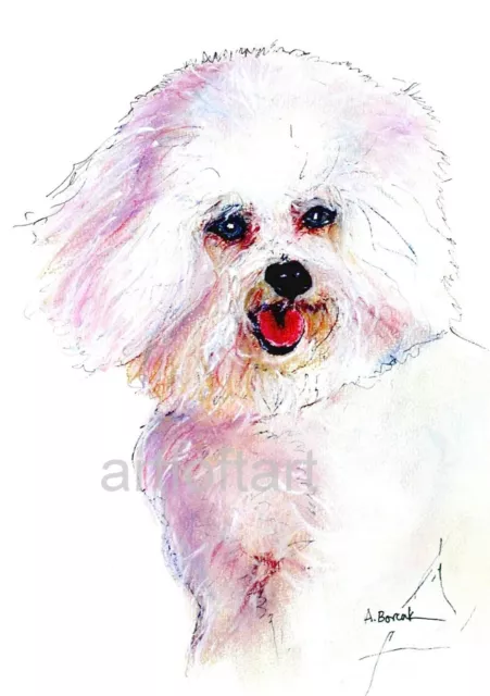 BICHON FRISE  #1 Dog Art  ACEO Card Print by A Borcuk