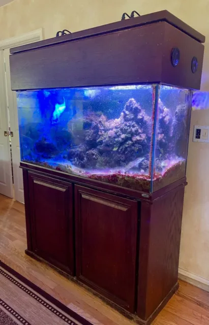 90 Gallon Spectacular Reef Aquarium and Stand - Great Deal!!!