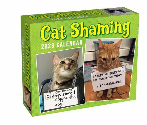 cat-shaming-2023-day-to-day-calendar-calendar-andrade-pedro-eur-13