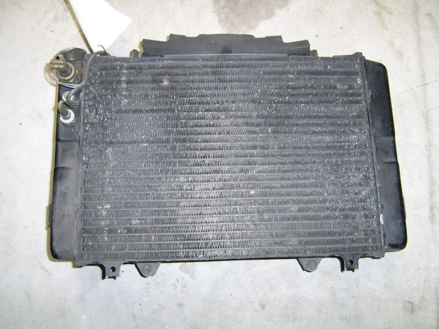 RADIATORE Yamaha FZR 1000 1991-1994 1991
