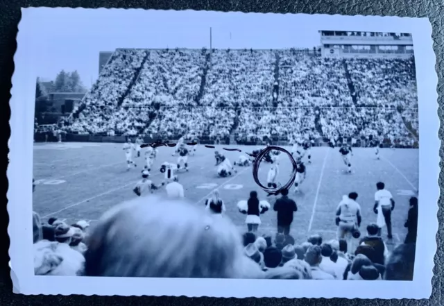 Vtg 1972 Kentucky Wildcats Football Photo Quarterback James McKay Stoll Field