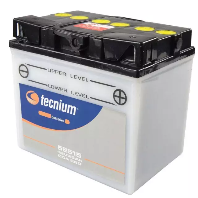 Batterie TECNIUM 52515