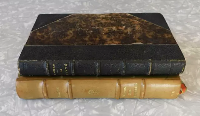 Lot of 2 Antique Books, Leather Bindings, Marbled Endpapers, 19th Century, Decor