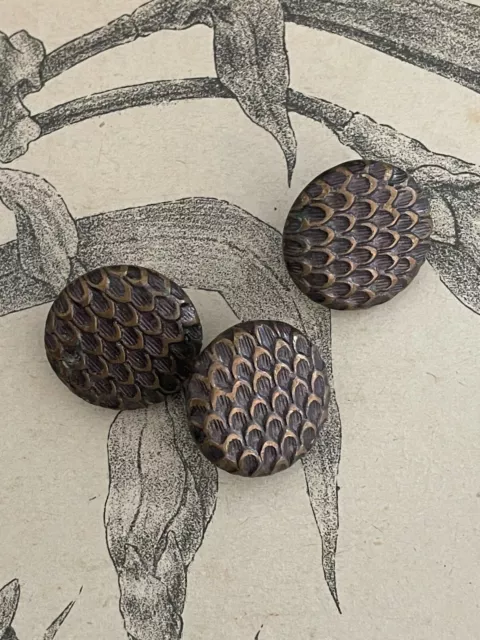 3 boutons anciens en métal - décor façon écaille - French button - Collection