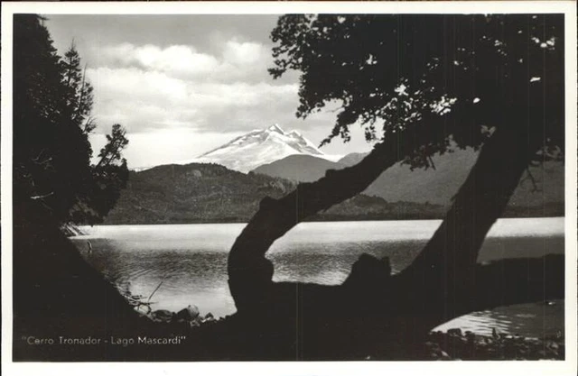 11336602 Lago Mascardi Orilla del lago Cerro Tronador Argentinien
