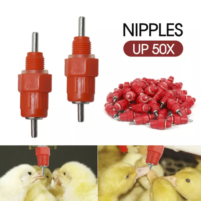 10-50x Water Nipple Valves Auto Drinker Waterer Feeder Poultry Chicken Duck Bird