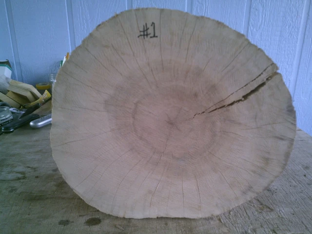 Ojo de pájaro Madera de Arce Borde Vivo Galleta EPOXI Resina Artesanal Madera