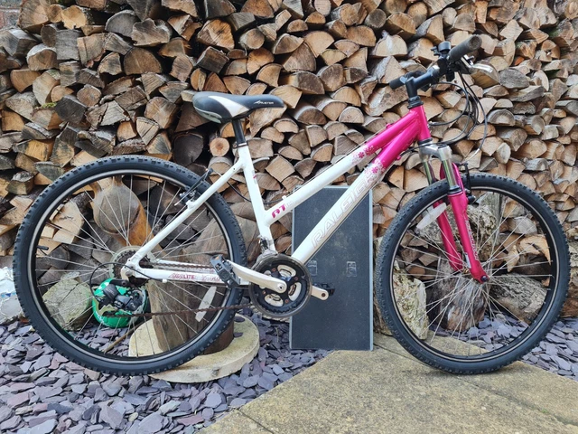 raleigh avalanche shimano 15