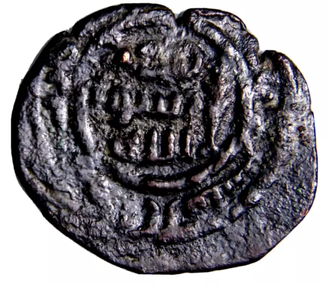 CERTIFIED AUTHENTIC Medieval Islamic Coin Umayyad Palm of Ramla Palestine #11