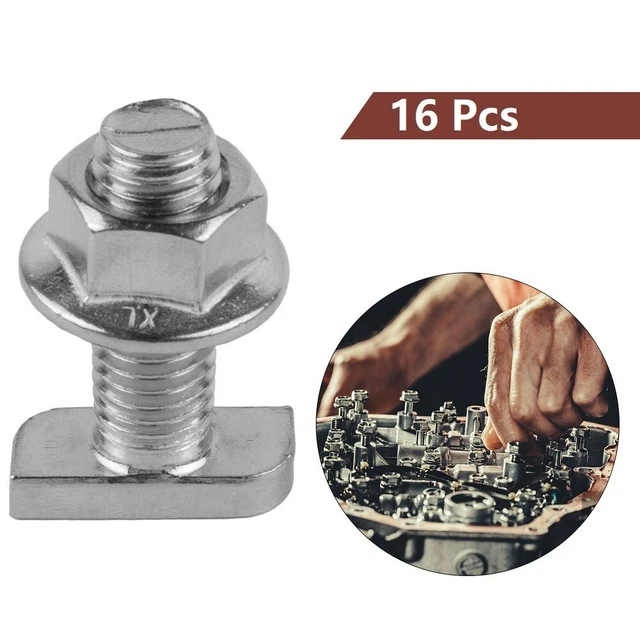 Robuste viti a testa per martello in acciaio inox 304 con dadi flangia M8 (confezione da 16)