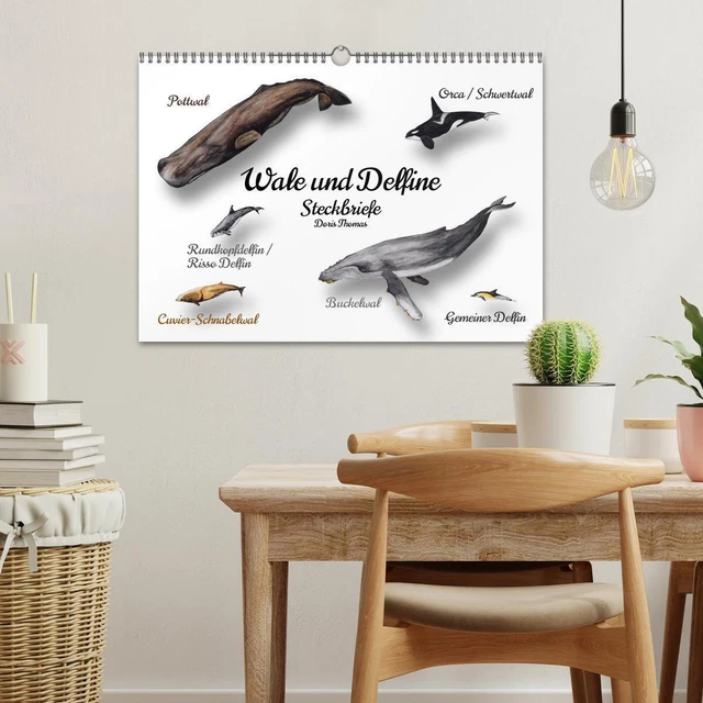 WALE UND DELFINE Steckbriefe (Wandkalender 2025 DIN A3 quer), CALVENDO