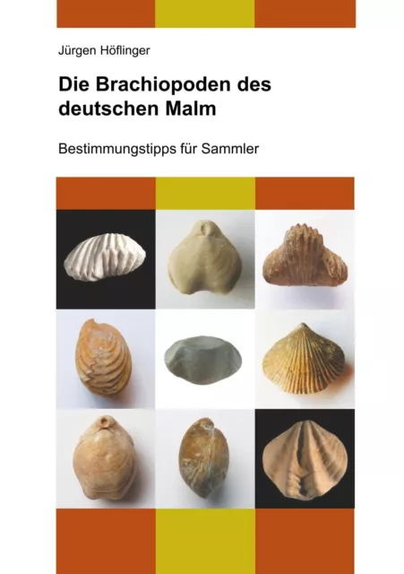 Jürgen Höflinger | Die Brachiopoden des deutschen Malm | Taschenbuch | Deutsch