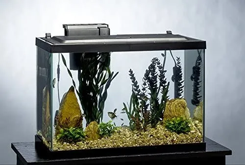 Tetra Aquarium 20 Gallon Fish Shrimp Betta Tank Kit LED Hood (28"x17"x21")