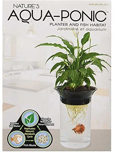 Aquaponic Planter and Aquarium for Betta Fish Tank Promotes Healthy 0.5 Gallon 3