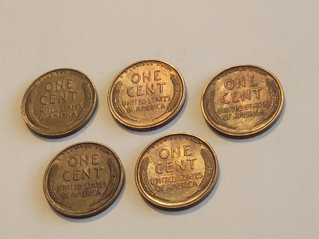1929 Lincoln Wheat Cent Penny Lot of 5 Gorgeous Coins! Philadelphia US Mint! 2
