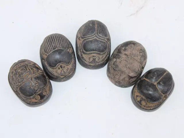 5 OF RARE ANCIENT EGYPTIAN ANTIQUE SCARAB Black Stone (Egypt History)