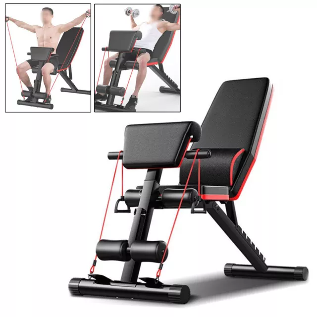 Foldable Dumbbell Bench Weight Training Fitness Incline Adjustable Workout Gym !