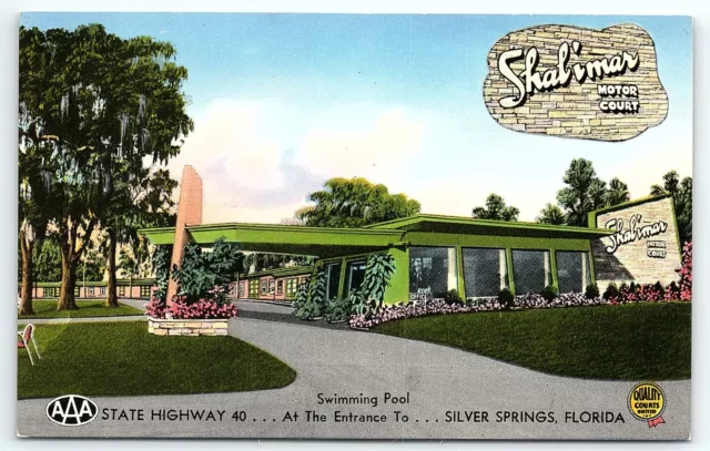 1950s SILVER SPRINGS FL SHALIMAR MOTOR COURT HWY 40 SWIMMING POOL POSTCARD P3131