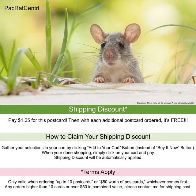 RPPC IOWA Decatur Court House Leon County echtes Foto Postkarte