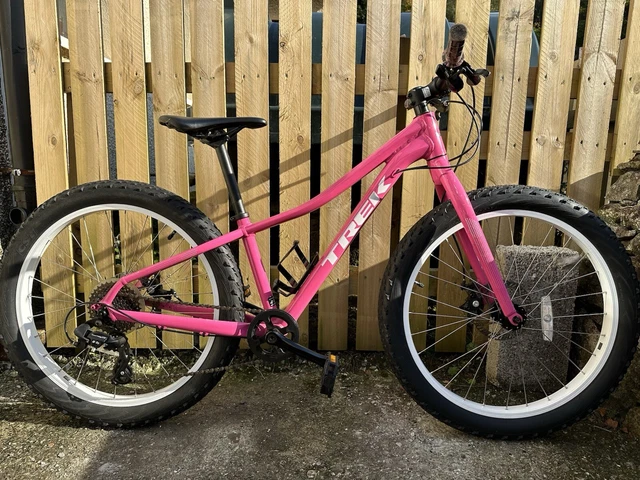 Trek roscoe 24 pink hotsell