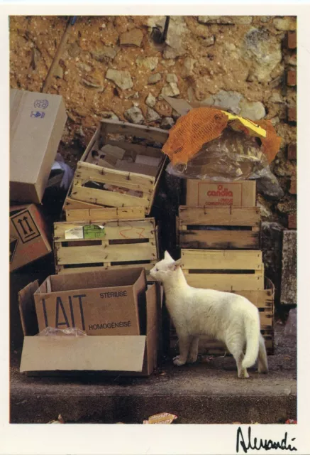 Cpsm / Carte Postale / Chat / Cat / Illustrateur Alessandri No Milk Today