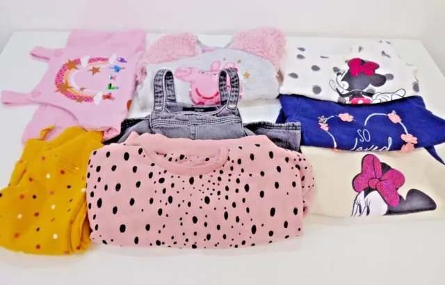 Baby Girl Clothes 12-18 Months Bundle Lot Toddler Sweatshirts Dress Disney Peppa