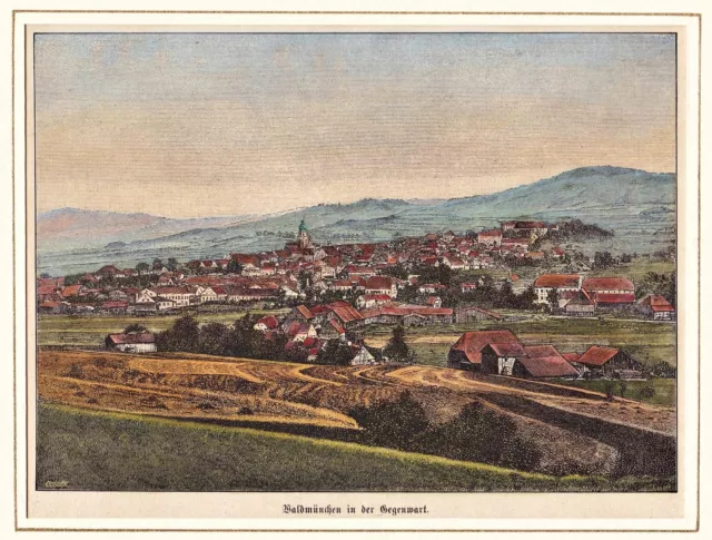 Waldmünchen LK Cham Bayern Gesamtansicht Ansicht Holzstich woodcut 1880