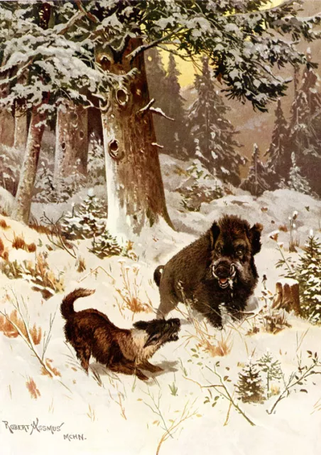 Jagdbild Keiler vom Saufinder Verbellt Winter Wildschwein Wilderer A3 530
