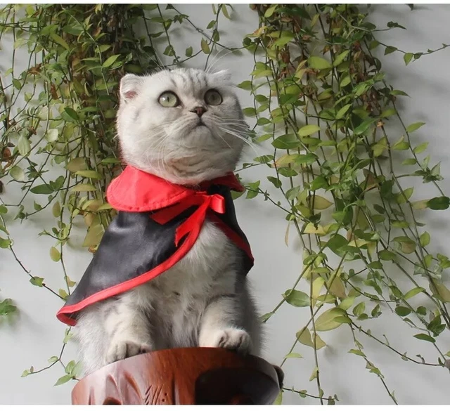 2022 Halloween Cosplay Hund Katze Kostüm Umhang Haustier Vampir Hut Kostüm Set