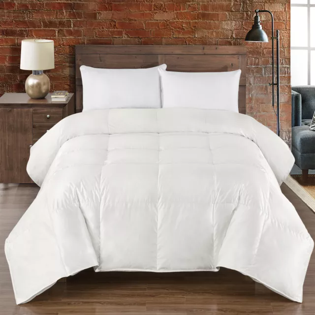 Silk Goose Down Comforter Heavy 450 Thread Count Extra Warmth Winter Weight