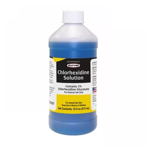 Chlorhexidine 2% Solution for Horses and Dogs 16 Oz