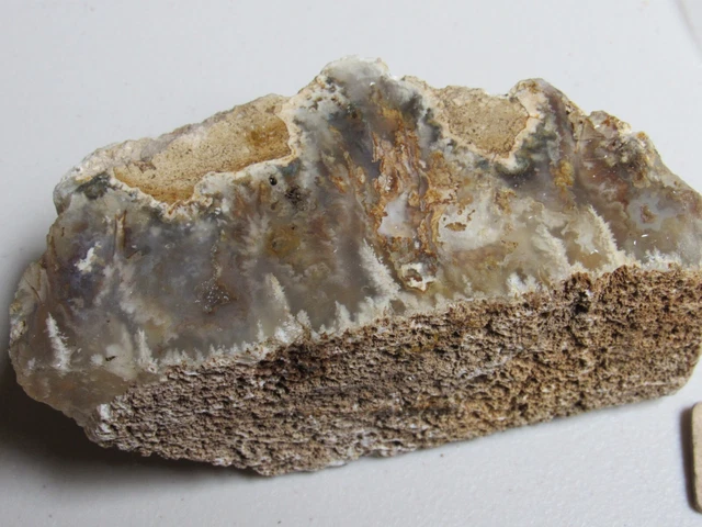 Old Stock Graveyard Point Plume Agate Oregon Rough Faced Slab Free Shipping USA