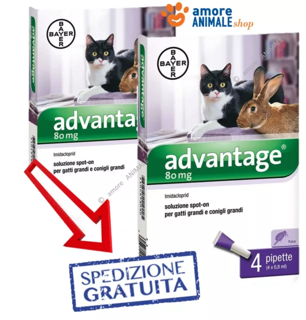 Bayer Advantage 80 mg per GATTI oltre 4 kg - 4 pipette - Anche per CONIGLI