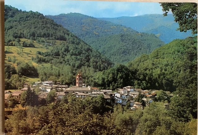 Cartolina Melle Cuneo viaggiata