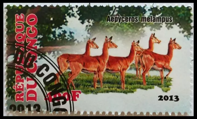 135.CONGO 2013 (400F) Gebraucht Briefmarke Afrikanische Wilde Tiere (Aepyceros