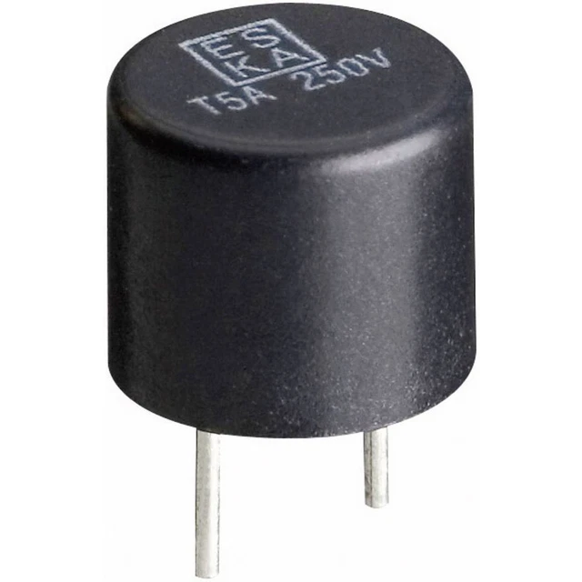 Micro-fusible ESKA 885007 rapide -F- sortie radiale rond 0.1 A 250 V 1 pc(s)
