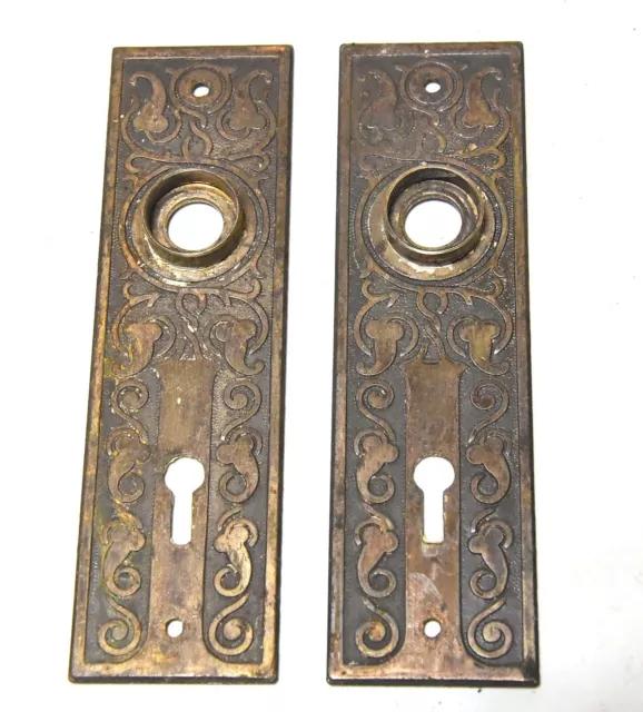 2 Matching Vintage Victorian Style Pressed Brass Finish Door Backplates X1