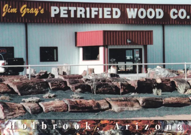 Route 66 Jim Gray's Petrified Wood Co. Holbrook Arizona Postcard 2000's ....