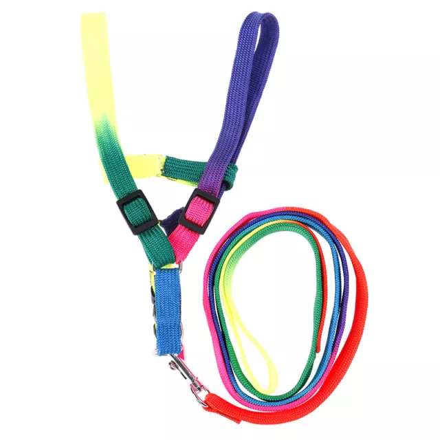 Adjustable Rainbow style Nylon Rabbit Cat Dog collar lead Harness goods foF.fr