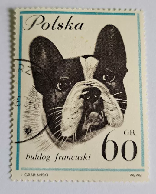Briefmarke Französische Bulldogge, groß,Polen, gestempelt, Bully, French Bulldog