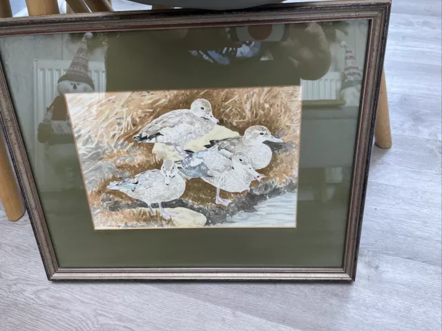 Brian Chapman Framed Watercolour ‘Preening’ Ducks Signed