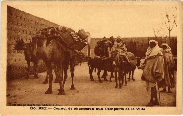 CPA AK MAROC FEZ - Convoi des chameaux aux Remparts de la Ville (219285)