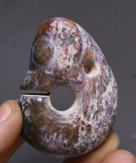 5CM China Hongshan Culture Old Jade Fengshui Pig Dragon Hook Amulet Pendant