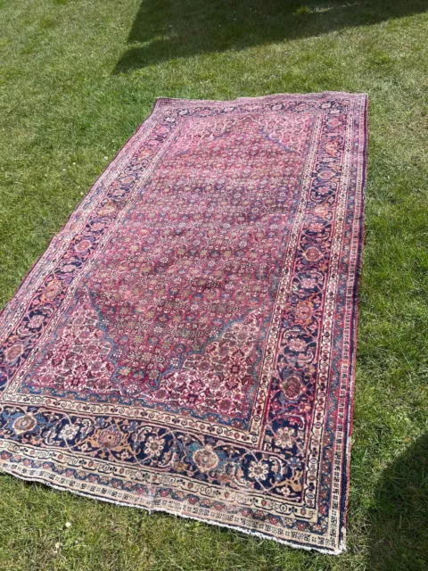 Antique Rug Old Carpet Rare Find- No Reserve