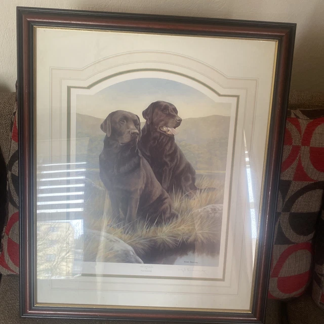 Nigel Hemming Framed Print